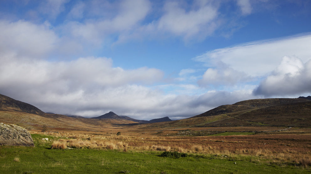 Sheep to Loom: The Story of our Yarns