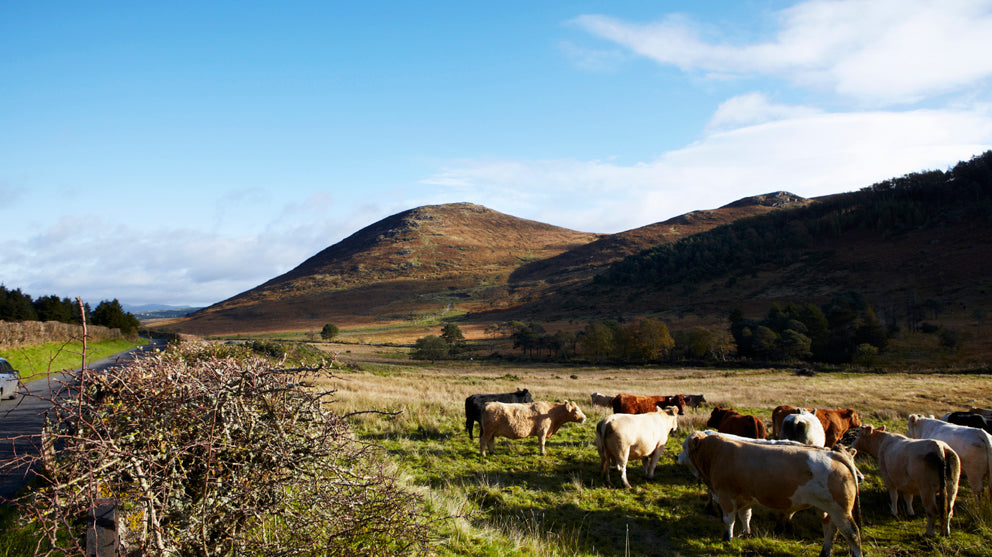 Blazing the trail for contemporary Irish Craft and Design