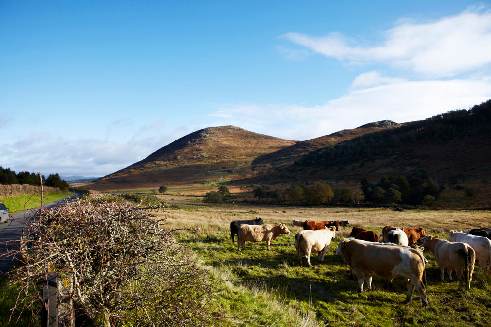 Blazing the trail for contemporary Irish Craft and Design